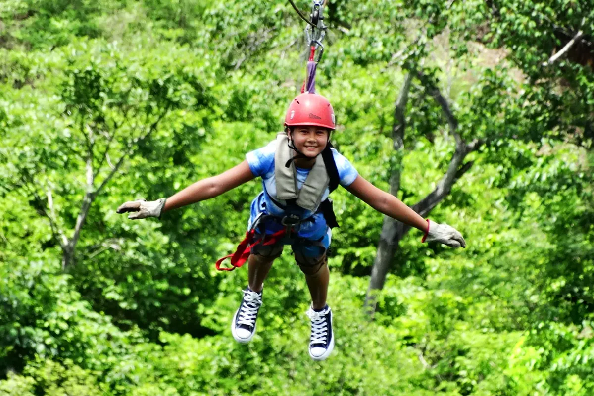Canopy